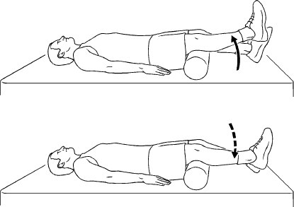 Knee Extension Short Arc Eccentric Supine or Sitting